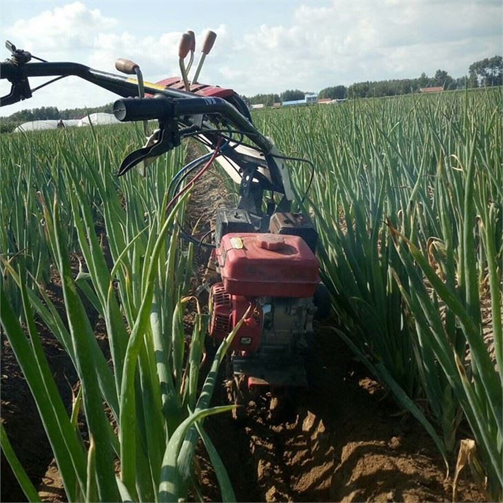 Hand Cultivator  2